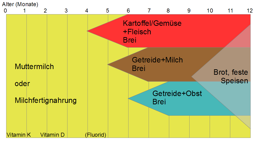 Ernährung  im 1. Lebensjahr